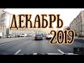 ГОРОСКОП НА ДЕКАБРЬ 2019! | Елена Соболева