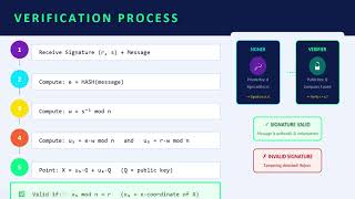 Blockchain in Finance: The Role of Elliptic Curve Cryptography (ECDSA)
