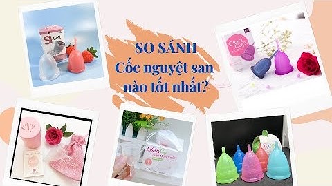 So sánh cốc nguyệt san các hãng năm 2024