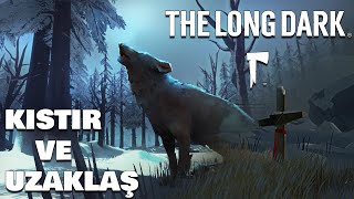 Kuyruğunu Kistir Ve Uzaklaş Ölüler Uyurken