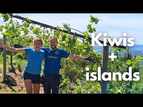 We BUILD a Farmhouse Kitchen Island & a Kiwi Supporting Pergola! Transforming our Homestead Spaces