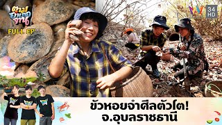 ขัวหอยจำศีลตัวโต! ช่วงหน้าแล้ง อ.พิบูลมังสาหาร จ.อุบลราชธานี | ตามอำเภอจาน | 9 เม.ย.67 Full EP