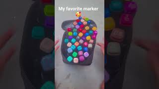 twin tip marker
