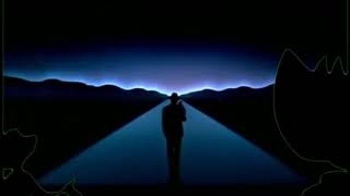 Timon And Pumbaa Rewind Inspector Gadget 1999