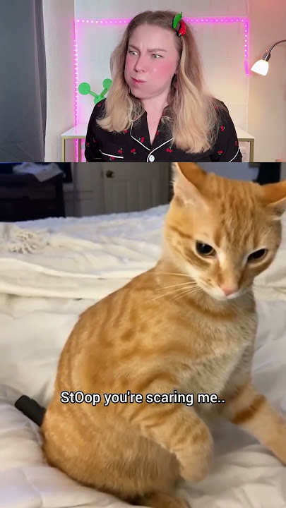 The Ultimate TRY NOT TO LAUGH Challenge! 🤣Part 63 #funny