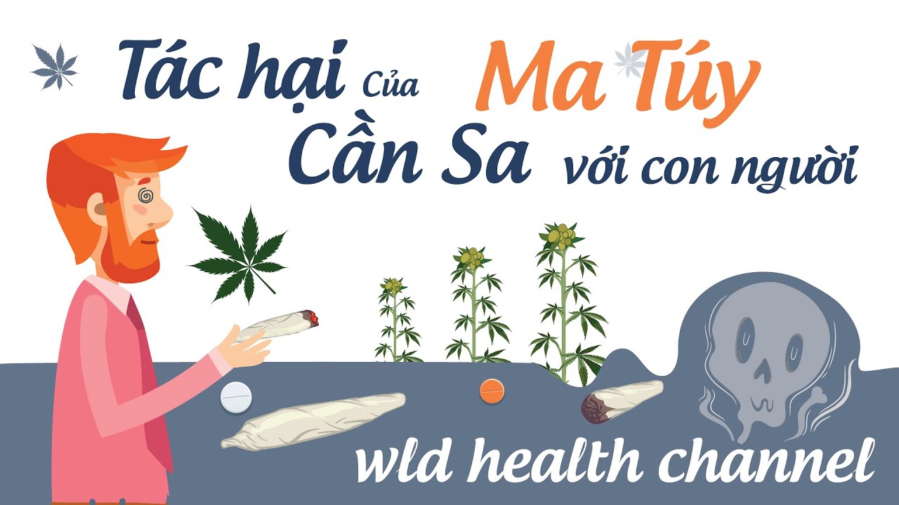 Tác hại của ma túy | Cần sa - YouTube