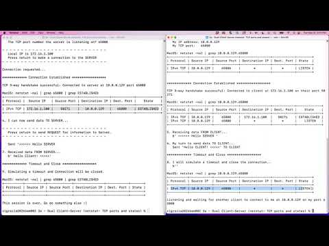 Python 3: Using netstat to View a Client-Server connection (IPs, Port Numbers, States)