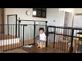 【我が家の息子】そこに箱かあったから。