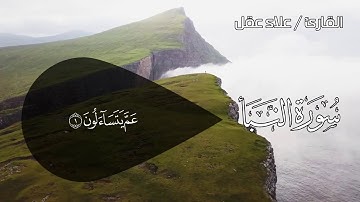 القارئ علاء عقل || سورة (النبأ) كامله🌸