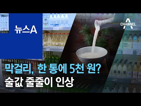 ‘서민 술’ 막걸리, 한 통에 5천 원?…술값 줄줄이 인상 | 뉴스A