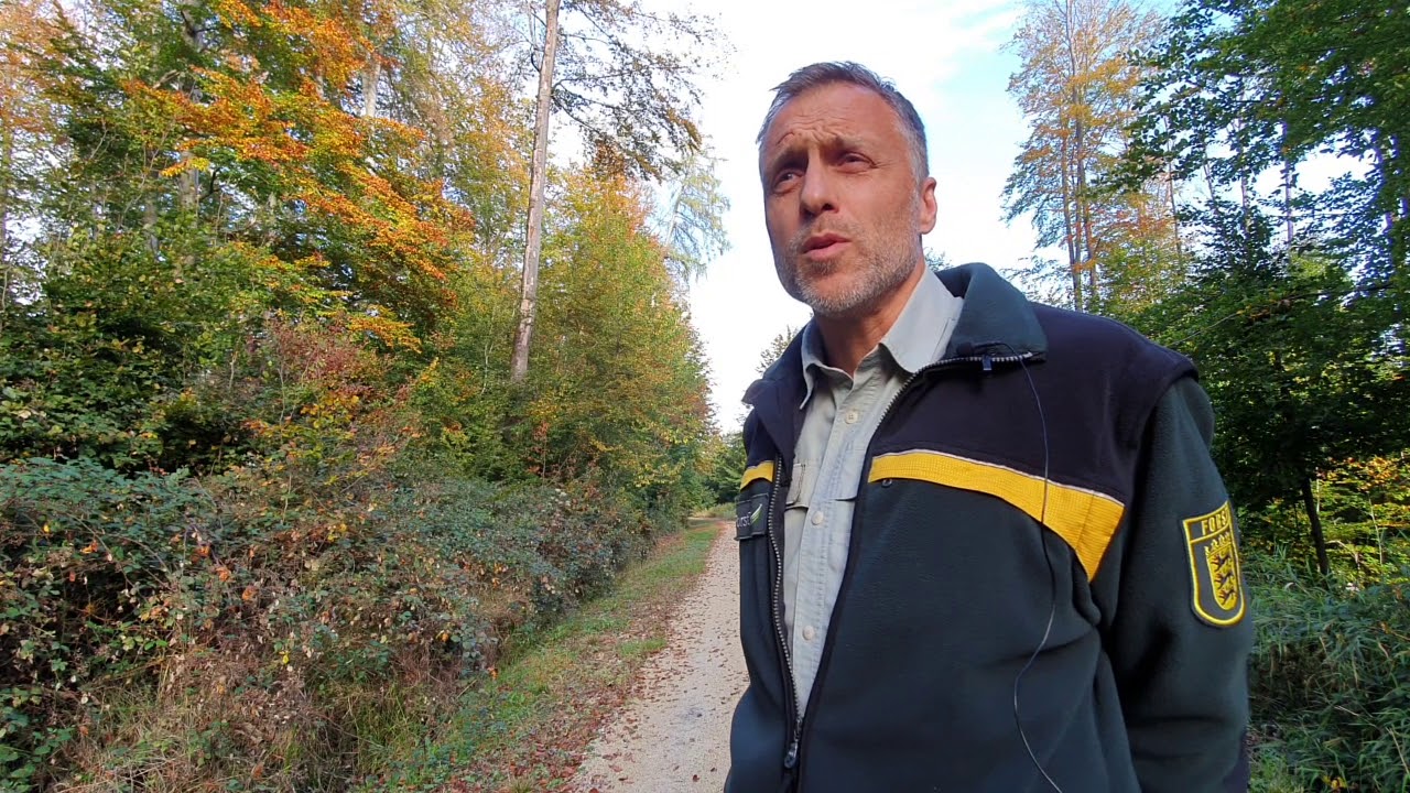 Waldschäden im Landkreis Esslingen