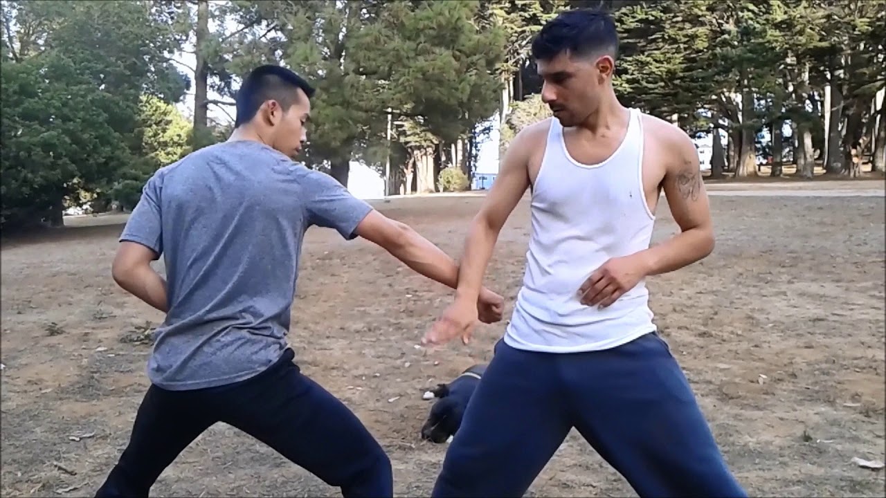 Single hand Blocking Drills of Choy Lee Fut