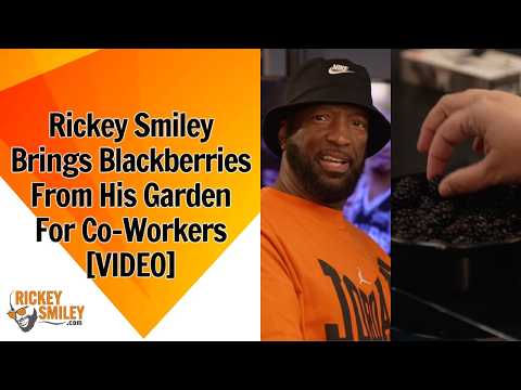 Rickey Smiley Brings Blackberries From His Garden For Co-Workers