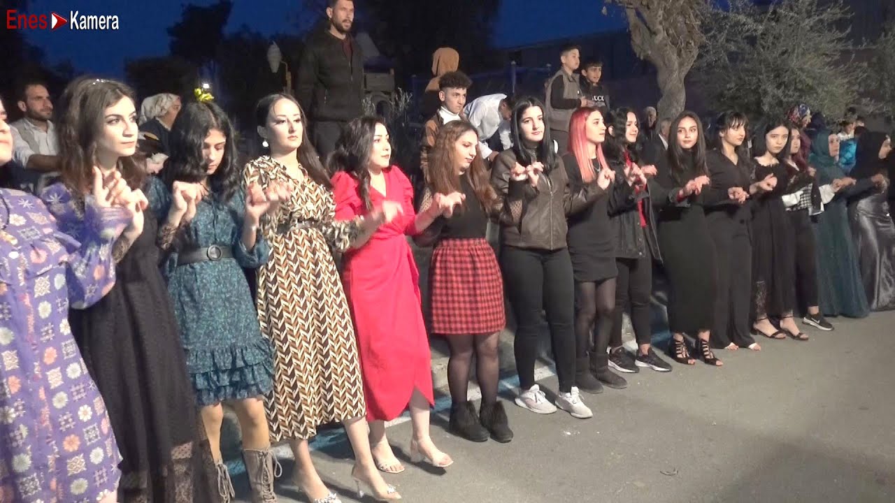 Zazaların Düğünü Bu Halayı Kaçırmayın (Beyza & Remzi) Ağır Delilo - Grani Halayı