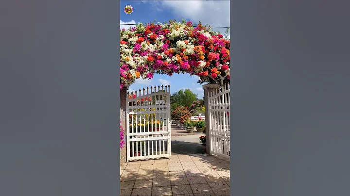 Enchanting Flower Gardens | Stunning Beautiful Flowers in Full Bloom | #shorts