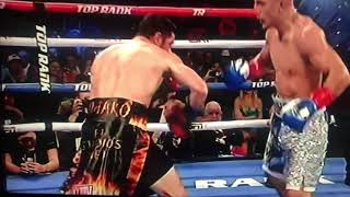 Teofimo lopez destroys magdaleno by brutal KO!