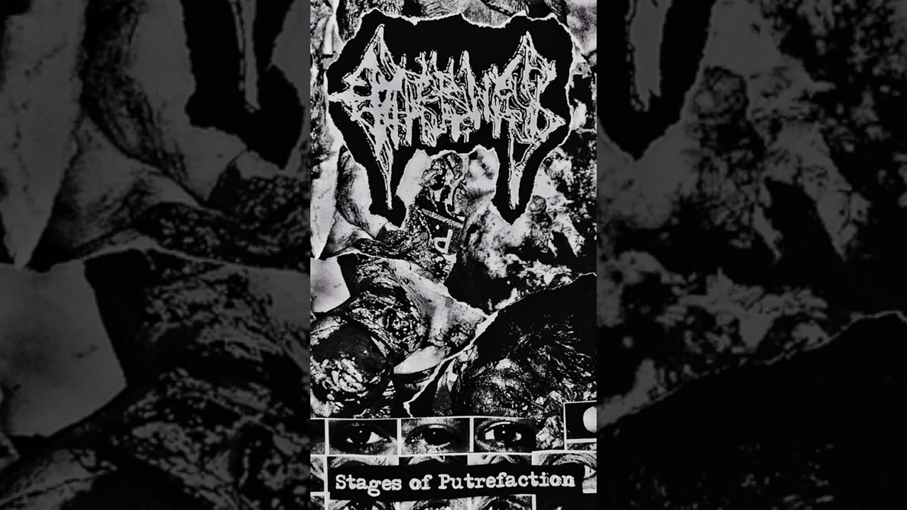 Gorebones - Stages of Putrefaction [2023] 