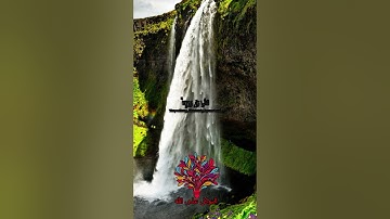 اذكروا الله سورة الأنعام الآية 30 بتلاوة ياسر الدوسري #quran #quran alkarim #قران كريم #قران 2