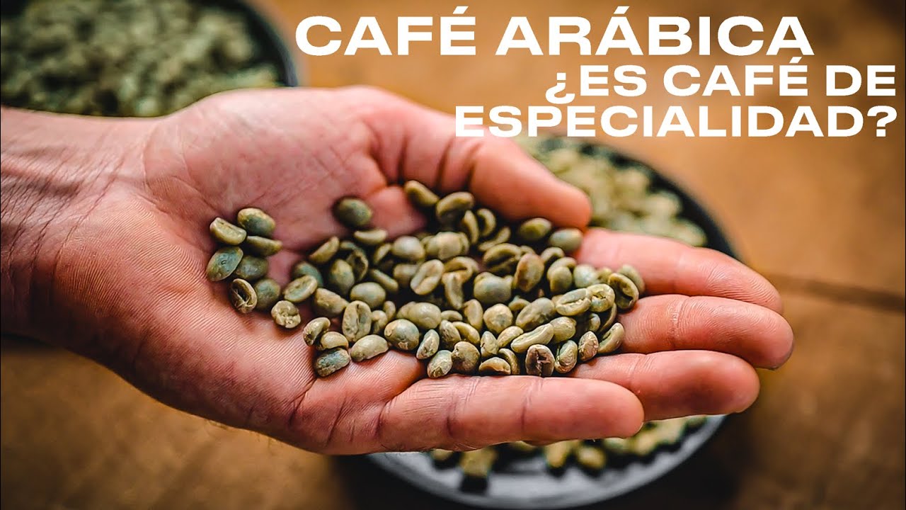 Qué DIFERENCIA al CAFÉ de ESPECIALIDAD? Arábica, pasos y