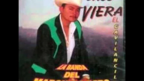 Saul Viera El Gavilancillo]   La Banda Del Marquis Negro