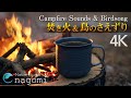 焚き火の音・鳥のさえずりでくつろぎの3時間｜焚き火BGM｜癒し・勉強・睡眠用｜ASMR自然音｜Campfire Nature Sounds