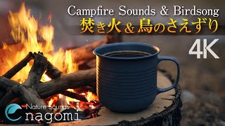 Campfire & Birdsong | Relaxing Crackling Fire Sounds & Nature Sounds | Campfire Nature Sounds