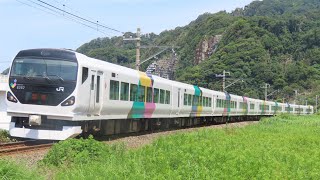 E257系0番台武田菱M105編成走行シーン2020