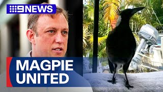 Queensland Premier announces plan to reunited Molly the Magpie with family | 9 News Australia