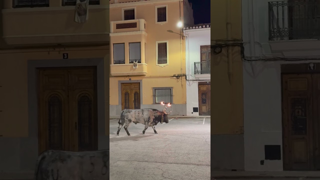 Portezolano, de Victorino Martín, per Quart de les Valls, la nit del dimarts. El bou mos la pela.