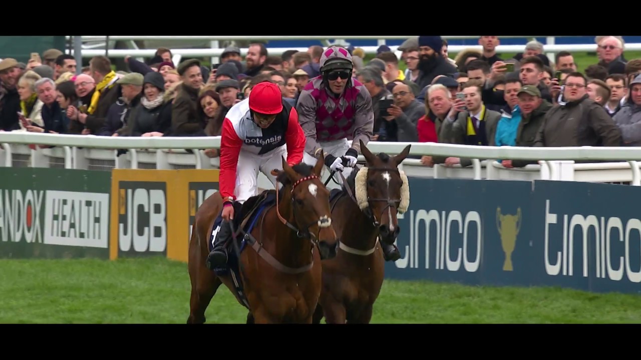 2017/2018 Cheltenham Season Launch