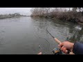 EPIC California Steelhead Fishing (Bobber Fishing)