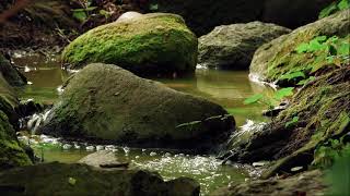 Kawih Cinta Nusa dengan lirik dan terjemahan bahasa Indonesia