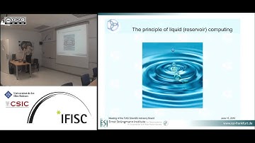 Cortical dynamics revisited