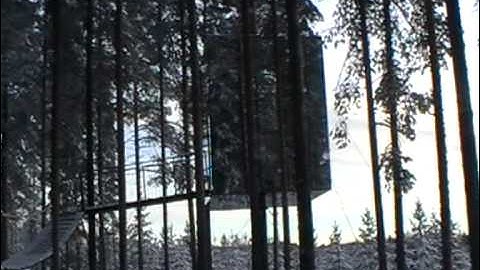 Treehotel Bluecone and Mirror Cube