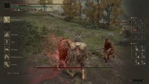 ELDEN RING™Invader spawn in the wrong place