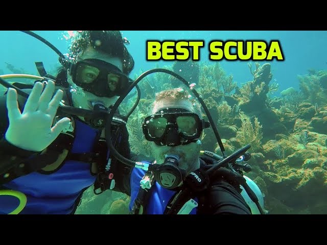 Roatan. The Best Scuba Diving of our trip!   Cruising the Caribbean.  Ep120