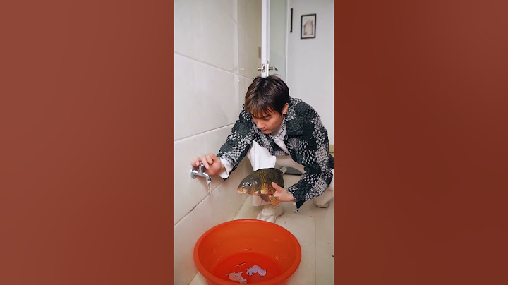 Crazy son ran away from home and fed stray dogs! Part1