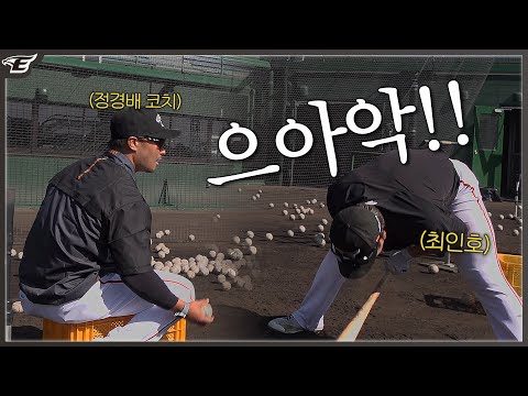 20개 치면 우수수 쓰러지는 <strong>하체</strong> <strong>강화</strong> <strong>훈련</strong>..근데 쳐도 쳐도 카운트가 안 올라감