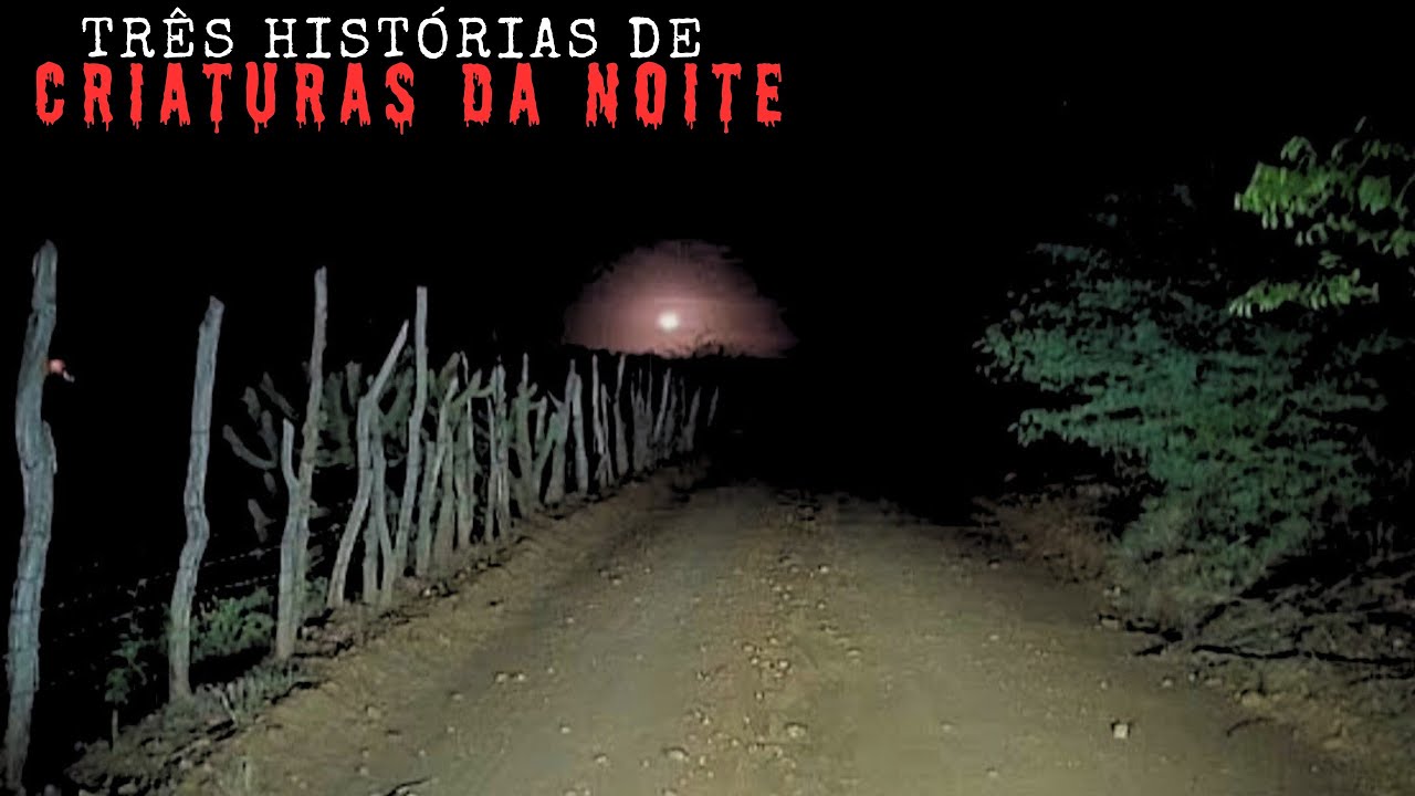 TRÊS HISTÓRIAS REAIS DE CRIATURAS DA NOITE.