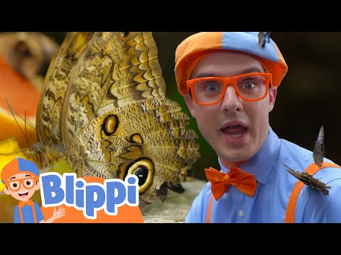 Blippi Craft Time 🟣🎨 | Exploring the Pacific Science Center | Moonbug Kids - Play and Goal Club
