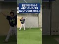 直近15年ヤクルトの4番バッターモノマネ