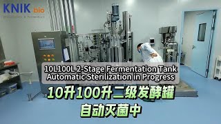 10L100L 2-Stage Fermentation Tank Automatic Sterilization in Progress #fermenter #fermentation #lab