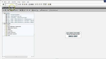 SAP ABAP GUI demo - Navigation screen.