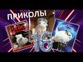 Лучшие приколы про ШИНШИЛЛ! Смешные ШИНШИЛЛЫ! Funny chinchillas❤#16