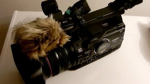 DIY, MAKING YOUR OWN PROFESSIONAL DEAD CAT FOR YOUR MICROPHONE FOR $1