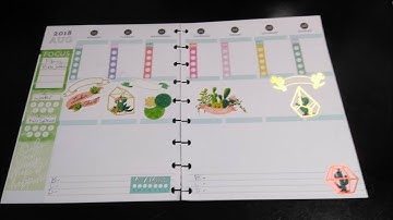 Pwm Aug 20-26 // Recollections Planner