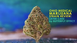 Ohio Medical Marijuana Strain Review: Layer Cake by Butterfly Effect