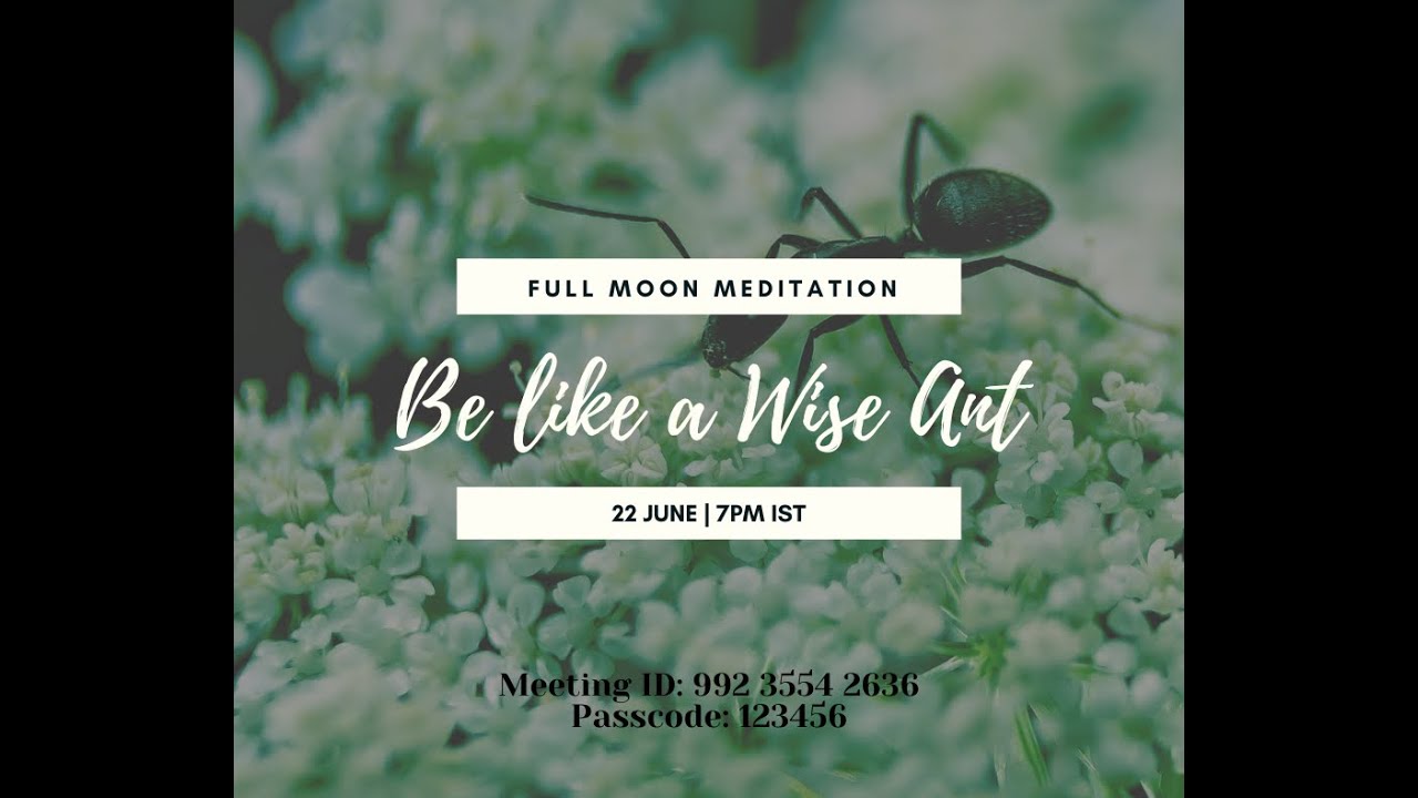 Be Like a Wise Ant | Full Moon Meditation - Jun'24 | Manu Tayal