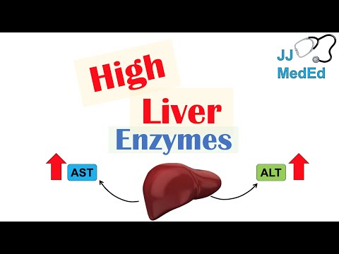 High Liver Enzymes | Aspartate vs Alanine Aminotransferase (AST vs. ALT) | Causes