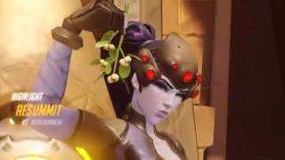 Simple Widow 3K
